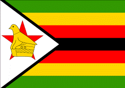 Online Application Zimbabwean Special Permit (ZSP)